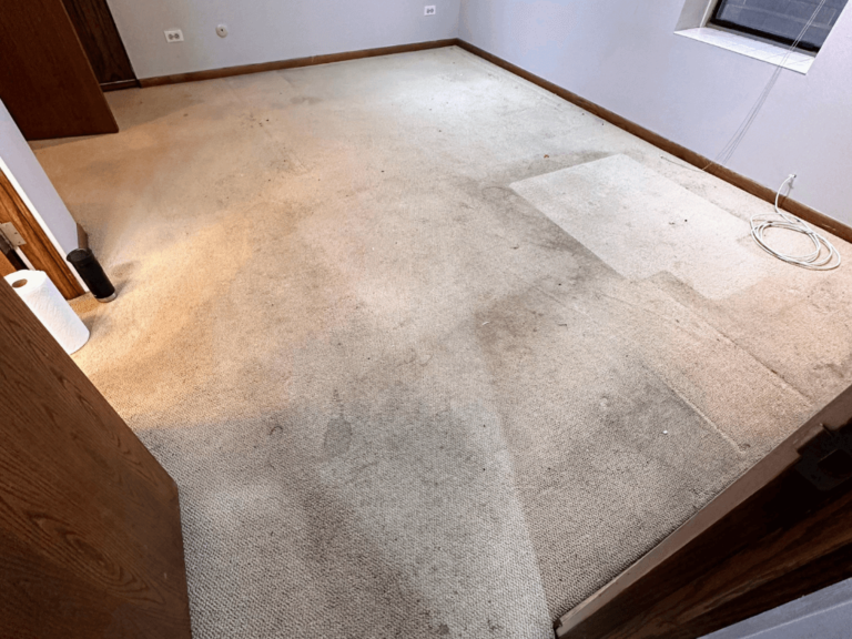 Chicago Carpet Cleaning Get Your Carpets Cleaned by Pros