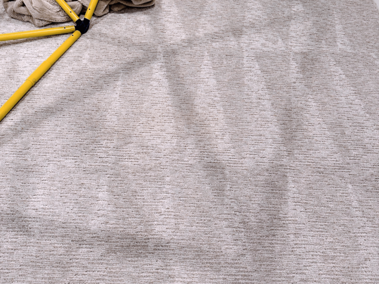 Chicago Carpet Cleaning Get Your Carpets Cleaned by Pros